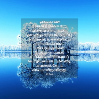 Picture 04 - ஓசியா 10:12 TAMIRV - நீங்கள் - Bible Verse Picture