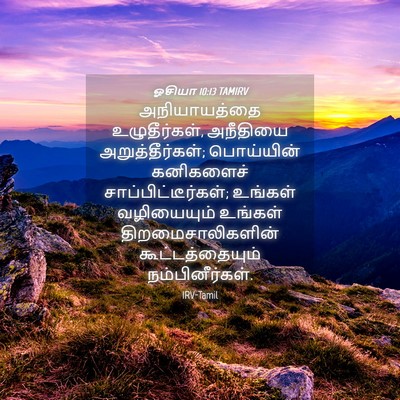 Picture 04 - ஓசியா 10:13 TAMIRV - அநியாயத்தை - Bible Verse Picture