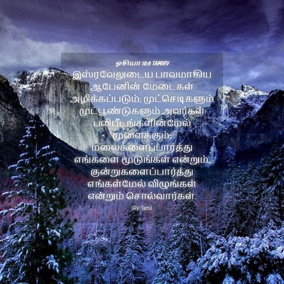 Picture 04 - ஓசியா 10:8 TAMIRV - இஸ்ரவேலுடைய - Bible Verse Picture