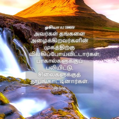 Picture 04 - ஓசியா 11:2 TAMIRV - அவர்கள் தங்களை - Bible Verse Picture