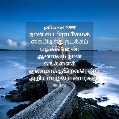 Picture 04 - ஓசியா 11:3 TAMIRV - நான் - Bible Verse Picture