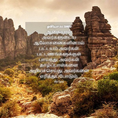 Picture 04 - ஓசியா 11:6 TAMIRV - ஆகையால் - Bible Verse Picture
