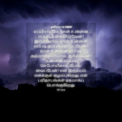Picture 04 - ஓசியா 11:8 TAMIRV - எப்பிராயீமே, நான் - Bible Verse Picture