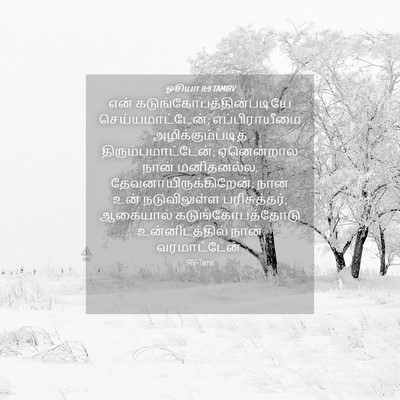 Picture 04 - ஓசியா 11:9 TAMIRV - என் - Bible Verse Picture