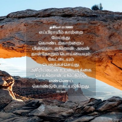Picture 04 - ஓசியா 12:1 TAMIRV - எப்பிராயீம் - Bible Verse Picture