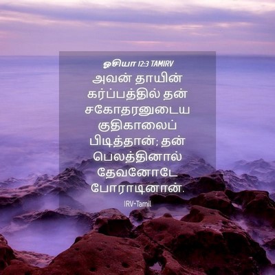 Picture 04 - ஓசியா 12:3 TAMIRV - அவன் தாயின் - Bible Verse Picture