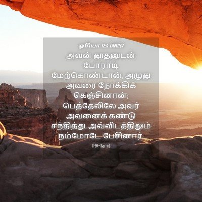 Picture 04 - ஓசியா 12:4 TAMIRV - அவன் தூதனுடன் - Bible Verse Picture