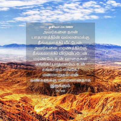 Picture 04 - ஓசியா 13:14 TAMIRV - அவர்களை நான் - Bible Verse Picture