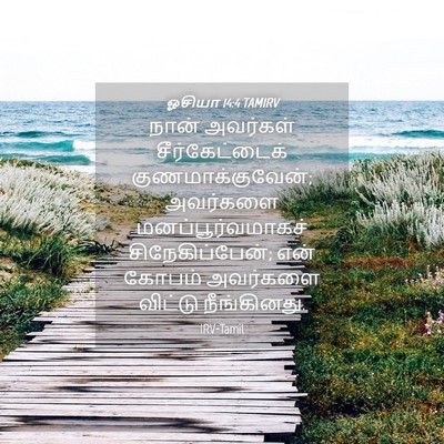 Picture 04 - ஓசியா 14:4 TAMIRV - நான் அவர்கள் - Bible Verse Picture