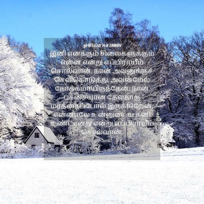 Picture 04 - ஓசியா 14:8 TAMIRV - இனி எனக்கும் - Bible Verse Picture
