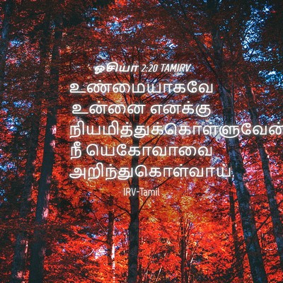 Picture 04 - ஓசியா 2:20 TAMIRV - உண்மையாகவே உன்னை - Bible Verse Picture