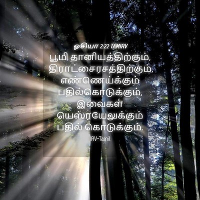 Picture 04 - ஓசியா 2:22 TAMIRV - பூமி - Bible Verse Picture