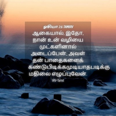 Picture 04 - ஓசியா 2:6 TAMIRV - ஆகையால், இதோ, நான் - Bible Verse Picture