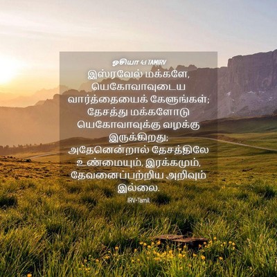 Picture 04 - ஓசியா 4:1 TAMIRV - இஸ்ரவேல் மக்களே, - Bible Verse Picture