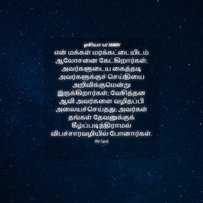Picture 04 - ஓசியா 4:12 TAMIRV - என் மக்கள் - Bible Verse Picture