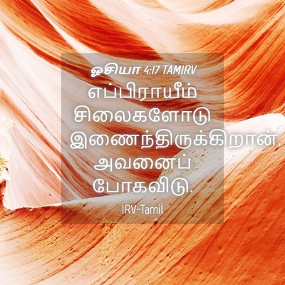 Picture 04 - ஓசியா 4:17 TAMIRV - எப்பிராயீம் - Bible Verse Picture