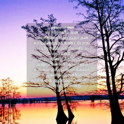 Picture 04 - ஓசியா 5:13 TAMIRV - எப்பிராயீம் தன் - Bible Verse Picture