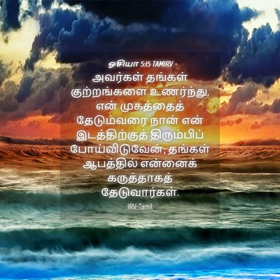 Picture 04 - ஓசியா 5:15 TAMIRV - அவர்கள் தங்கள் - Bible Verse Picture