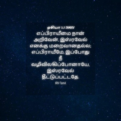 Picture 04 - ஓசியா 5:3 TAMIRV - எப்பிராயீமை நான் - Bible Verse Picture