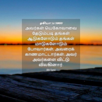 Picture 04 - ஓசியா 5:6 TAMIRV - அவர்கள் யெகோவாவை - Bible Verse Picture