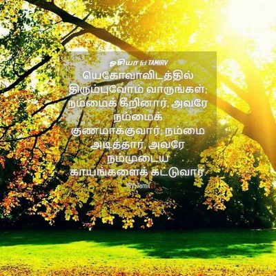 Picture 04 - ஓசியா 6:1 TAMIRV - யெகோவாவிடத்தில் - Bible Verse Picture