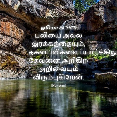Picture 04 - ஓசியா 6:6 TAMIRV - பலியை அல்ல - Bible Verse Picture
