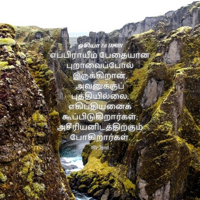 Picture 04 - ஓசியா 7:11 TAMIRV - எப்பிராயீம் - Bible Verse Picture