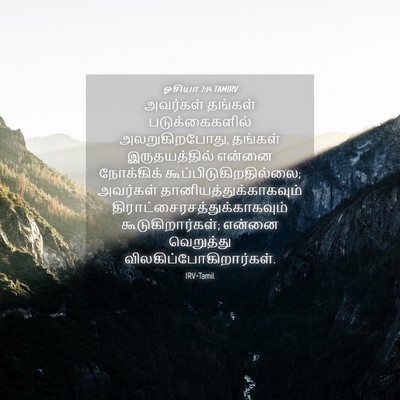 Picture 04 - ஓசியா 7:14 TAMIRV - அவர்கள் தங்கள் - Bible Verse Picture
