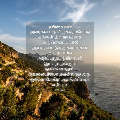 Picture 04 - ஓசியா 7:6 TAMIRV - அவர்கள் - Bible Verse Picture