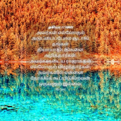Picture 04 - ஓசியா 7:7 TAMIRV - அவர்கள் எல்லோரும் - Bible Verse Picture
