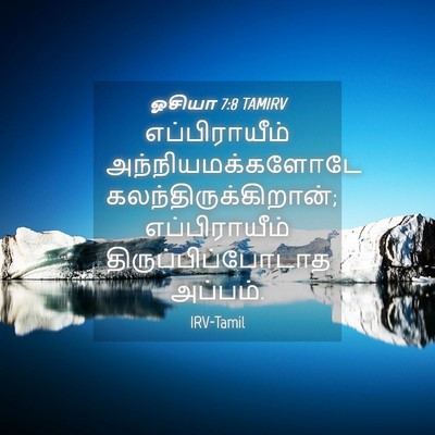 Picture 04 - ஓசியா 7:8 TAMIRV - எப்பிராயீம் - Bible Verse Picture