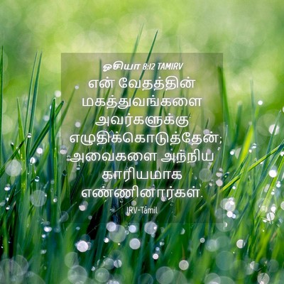 Picture 04 - ஓசியா 8:12 TAMIRV - என் வேதத்தின் - Bible Verse Picture