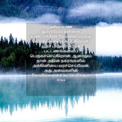 Picture 04 - ஓசியா 8:14 TAMIRV - இஸ்ரவேல் தன்னை - Bible Verse Picture