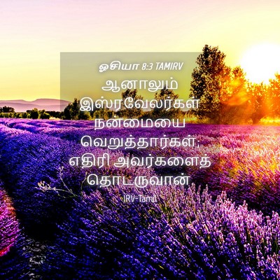 Picture 04 - ஓசியா 8:3 TAMIRV - ஆனாலும் - Bible Verse Picture