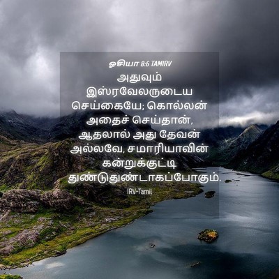 Picture 04 - ஓசியா 8:6 TAMIRV - அதுவும் - Bible Verse Picture