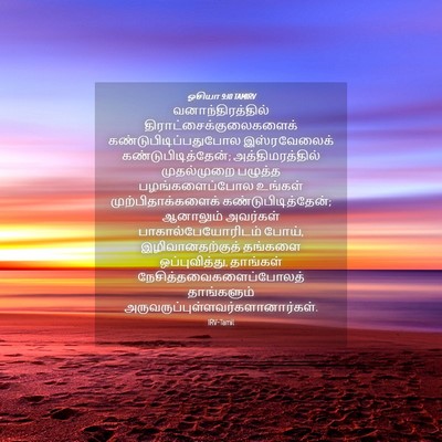 Picture 04 - ஓசியா 9:10 TAMIRV - வனாந்திரத்தில் - Bible Verse Picture