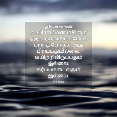 Picture 04 - ஓசியா 9:11 TAMIRV - எப்பிராயீமின் - Bible Verse Picture