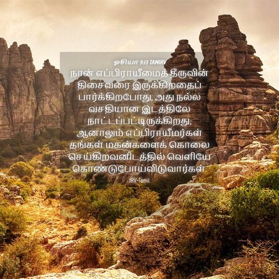 Picture 04 - ஓசியா 9:13 TAMIRV - நான் - Bible Verse Picture