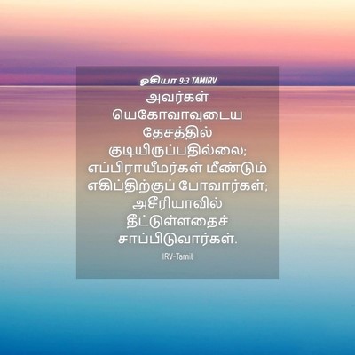 Picture 04 - ஓசியா 9:3 TAMIRV - அவர்கள் - Bible Verse Picture
