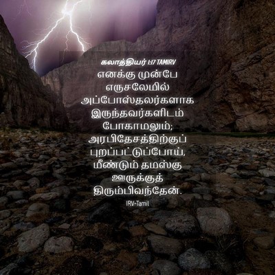 Picture 04 - கலாத்தியர் 1:17 TAMIRV - எனக்கு முன்பே - Bible Verse Picture