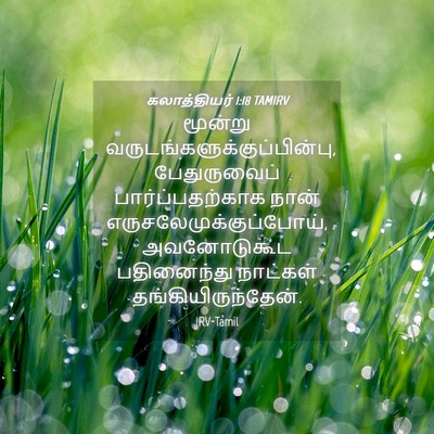Picture 04 - கலாத்தியர் 1:18 TAMIRV - மூன்று - Bible Verse Picture