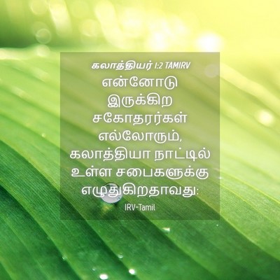 Picture 04 - கலாத்தியர் 1:2 TAMIRV - என்னோடு இருக்கிற - Bible Verse Picture
