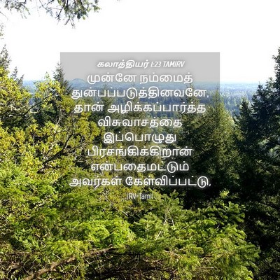 Picture 04 - கலாத்தியர் 1:23 TAMIRV - முன்னே நம்மைத் - Bible Verse Picture