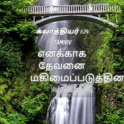 Picture 04 - கலாத்தியர் 1:24 TAMIRV - எனக்காக தேவனை - Bible Verse Picture