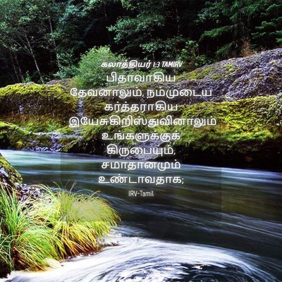 Picture 04 - கலாத்தியர் 1:3 TAMIRV - பிதாவாகிய - Bible Verse Picture
