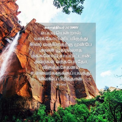Picture 04 - கலாத்தியர் 2:12 TAMIRV - எப்படியென்றால், - Bible Verse Picture