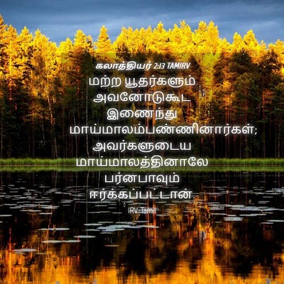 Picture 04 - கலாத்தியர் 2:13 TAMIRV - மற்ற யூதர்களும் - Bible Verse Picture