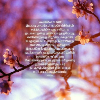 Picture 04 - கலாத்தியர் 2:14 TAMIRV - இப்படி அவர்கள் - Bible Verse Picture