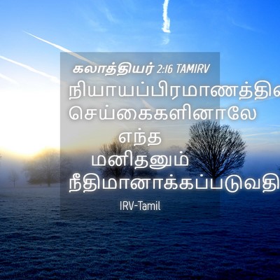 Picture 04 - கலாத்தியர் 2:16 TAMIRV -  - Bible Verse Picture