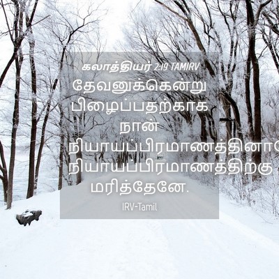 Picture 04 - கலாத்தியர் 2:19 TAMIRV - தேவனுக்கென்று - Bible Verse Picture